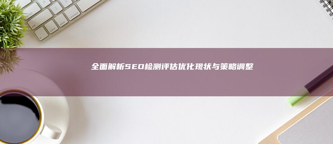 全面解析SEO检测评估：优化现状与策略调整